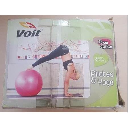 OUTLET Voit Gymball 75 Cm Gri Pompalı Pilates Topu
