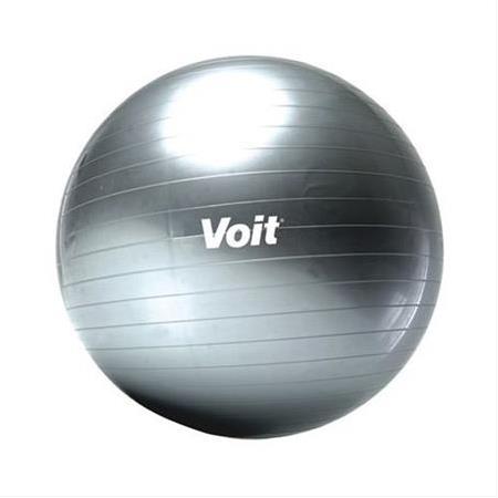 Voit Gymball 65 Cm Gri Pompalı Pilates Topu